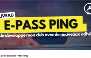 E-Pass Ping