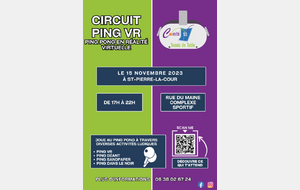 Circuit Ping VR