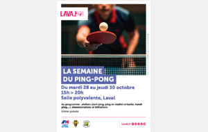 Animation ping salle polyvalente Laval