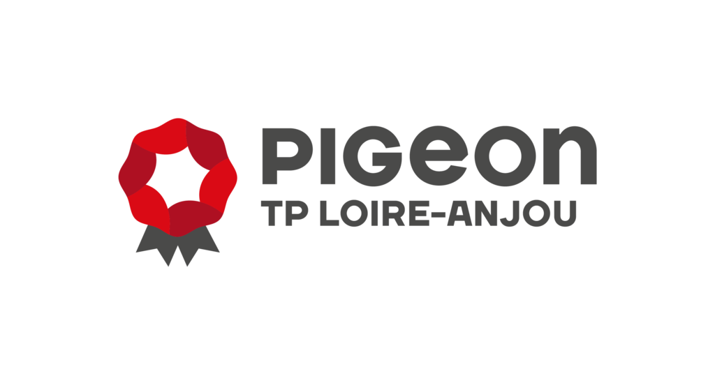 PIGEON TP